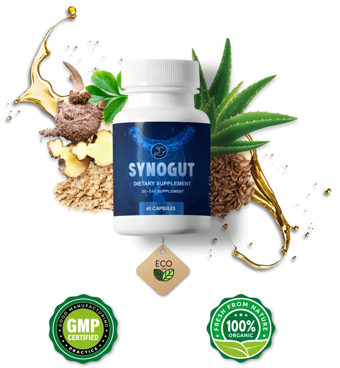 Synogut supplement